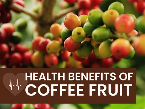 what is coffee fruit used for.